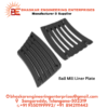 Liner Plate Casting
